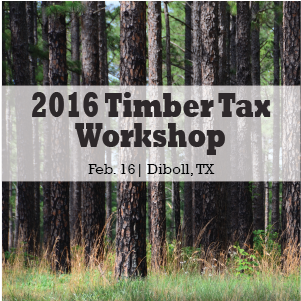 2016 tax workshop2